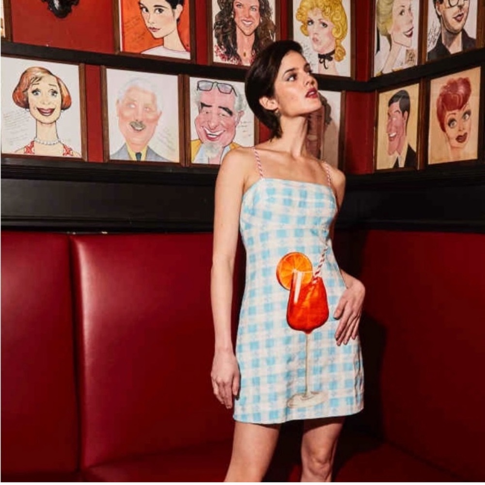 Rachel Antonoff Aperol Gwen Dress sz 6 - VIRAL
